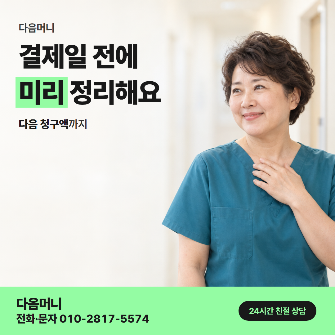 다음머니 신한카드깡 회차 나눔 안내